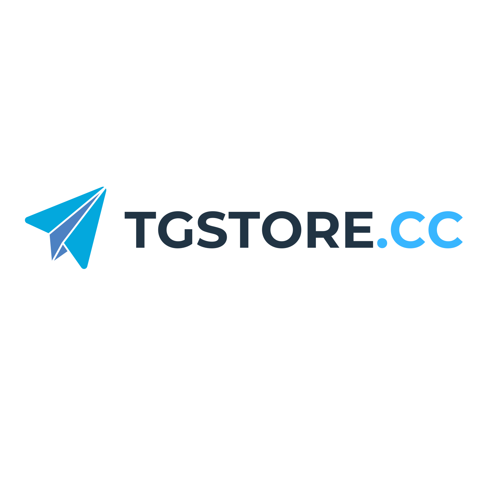 TGStore Logo